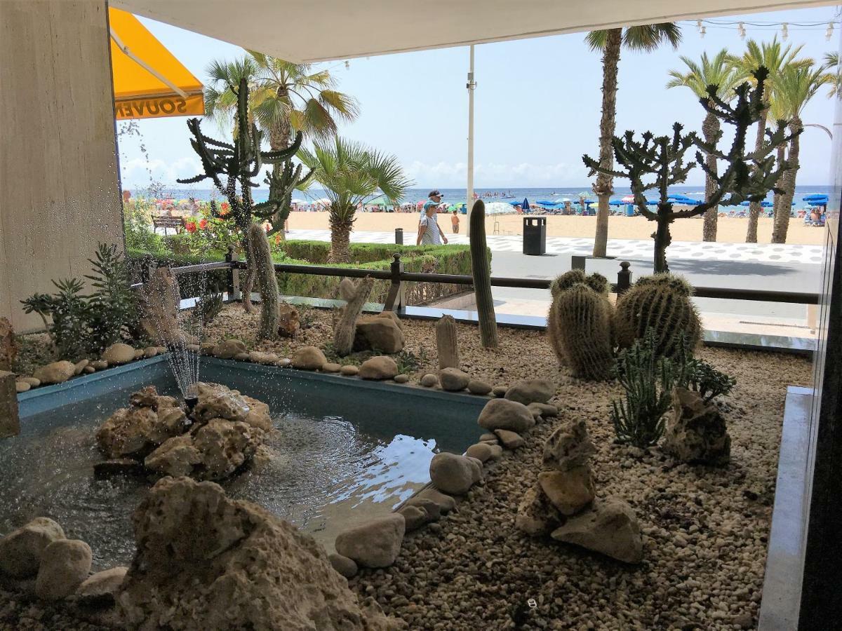 Primera Linea Playa Levante بينايدورم المظهر الخارجي الصورة